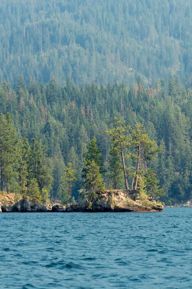 Hayden Lake Shoreline - Image 1