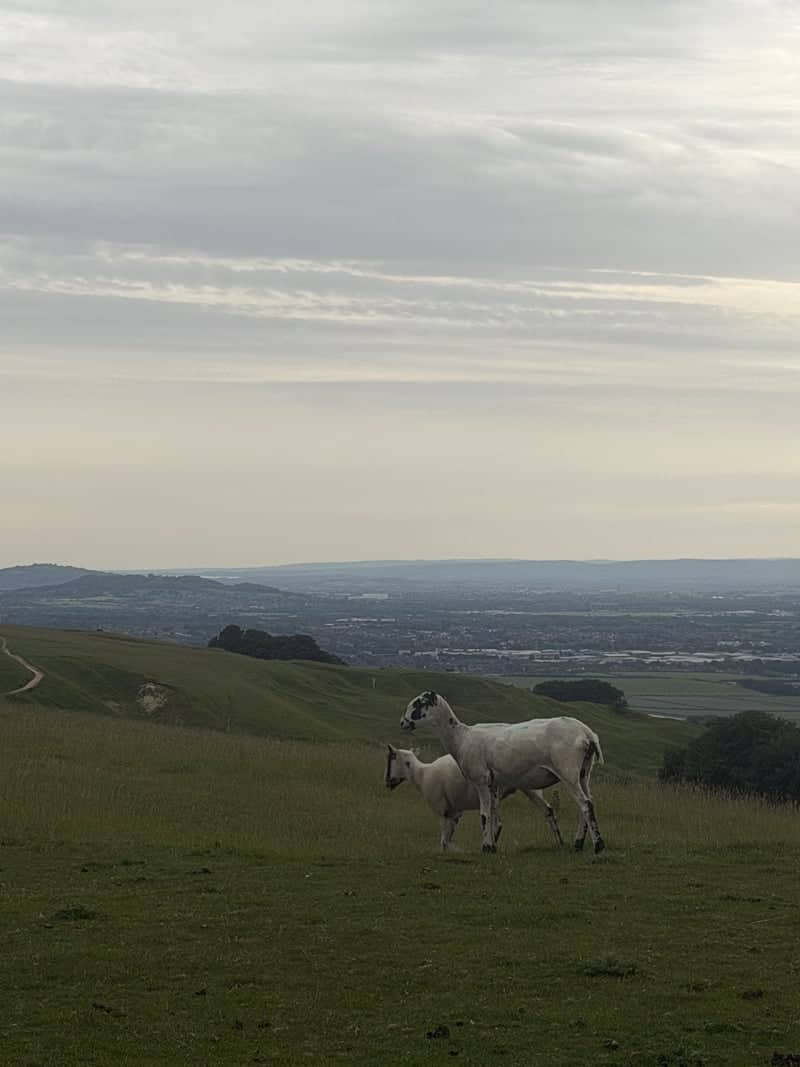 Cleeve Hill - Image 1