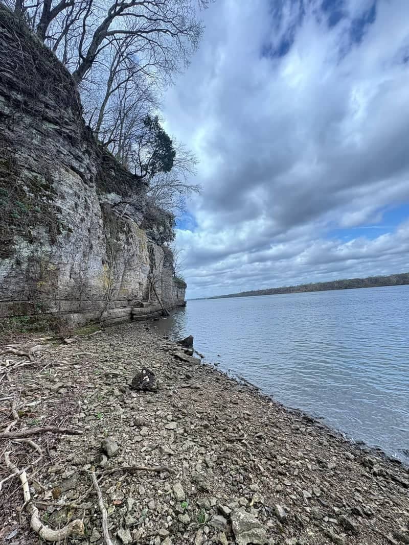 Tennessee River Bluffs at Florence - Image 1
