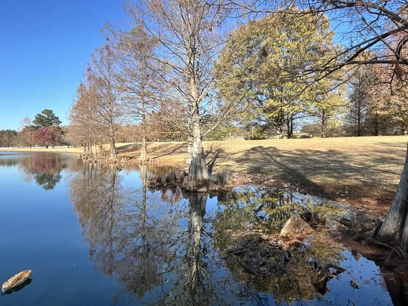 Darby Drive Lakeside - Image 1