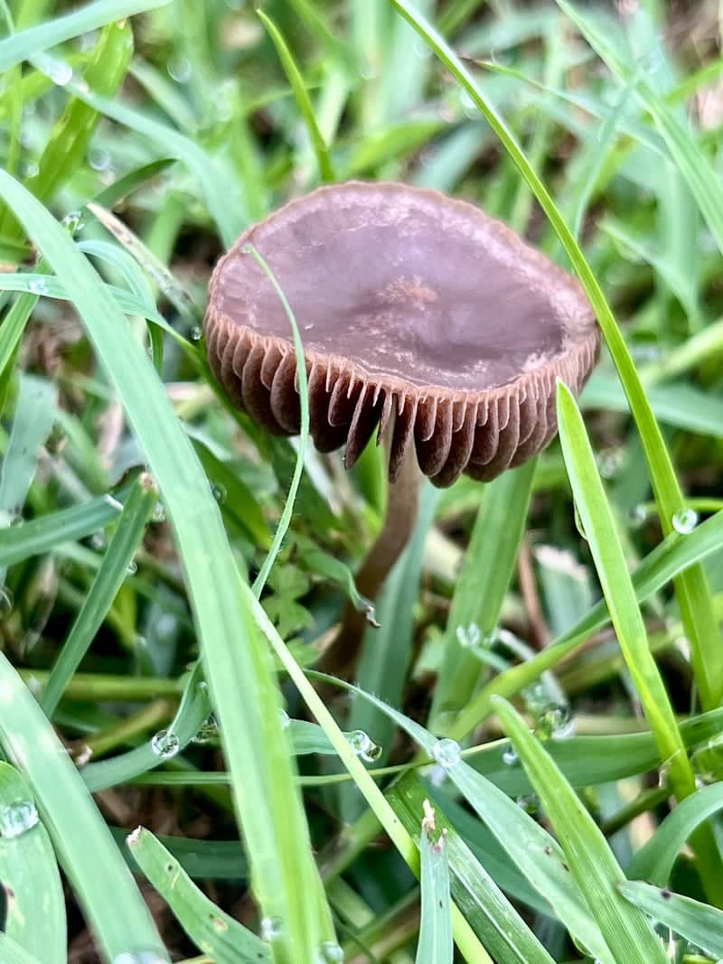 Woodland Hills Nature Trail - Image 1