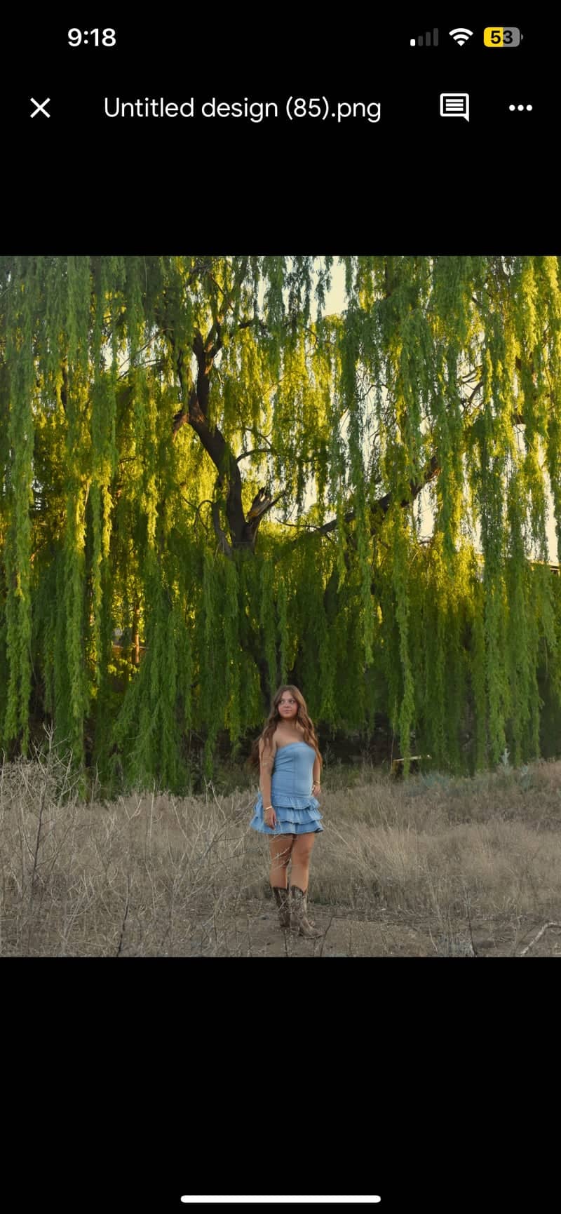 Willow Creek Weeping Willow - Image 1