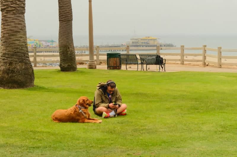 Palisades Park Overlooking Santa Monica Pier - Image 1