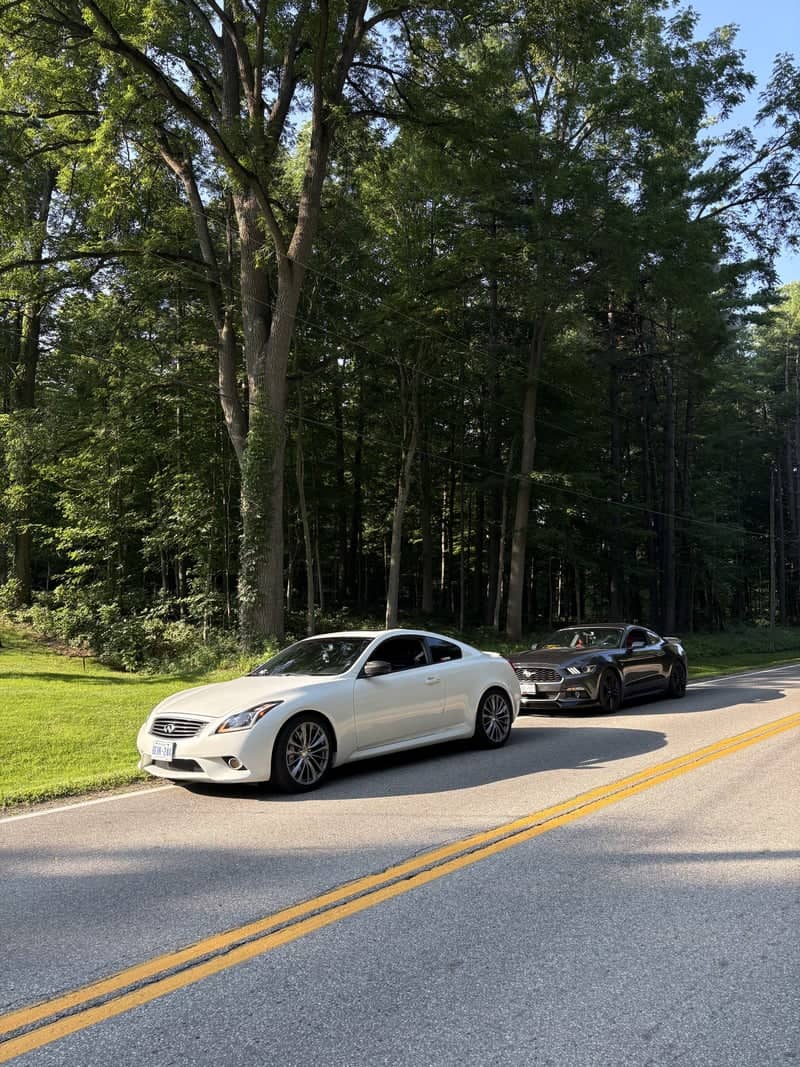 Jerseyville Road Forest Drive - Image 1