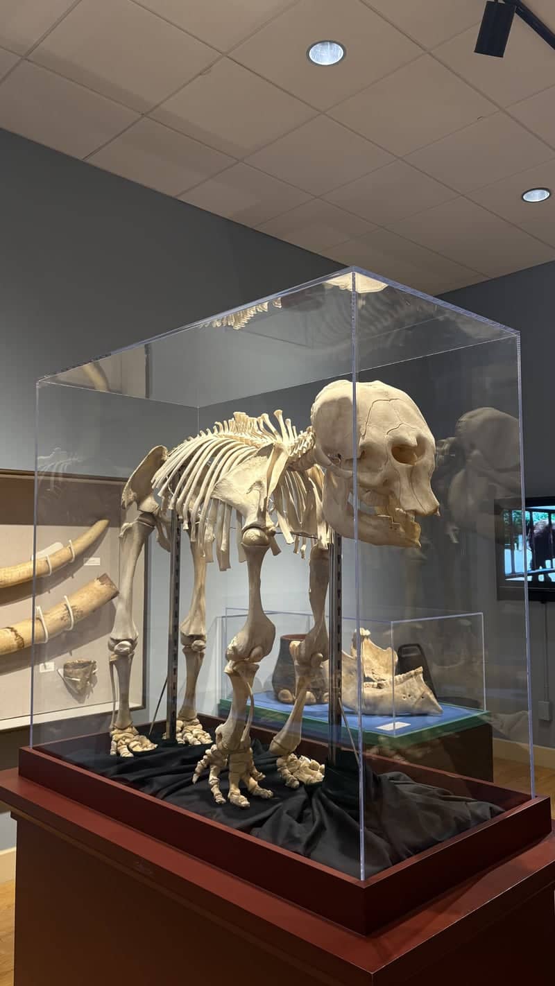 Mayborn Museum Complex - Image 1