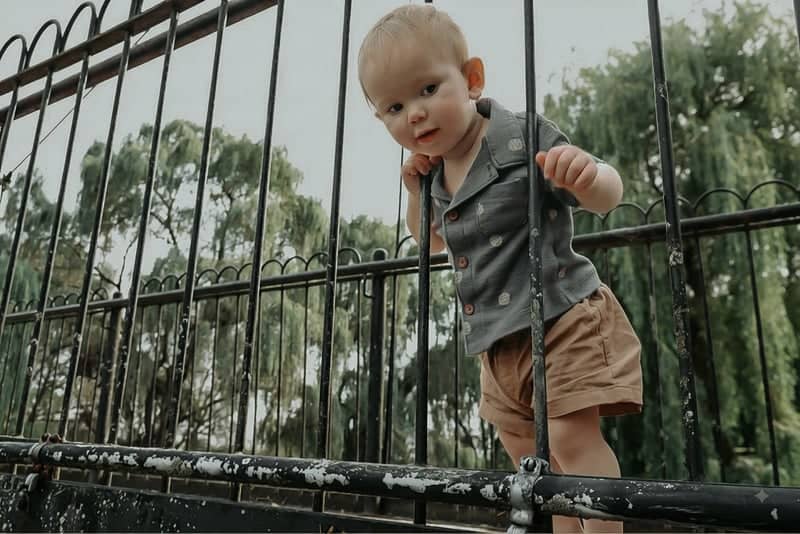 Talleyrand Park Historic Fence - Image 1