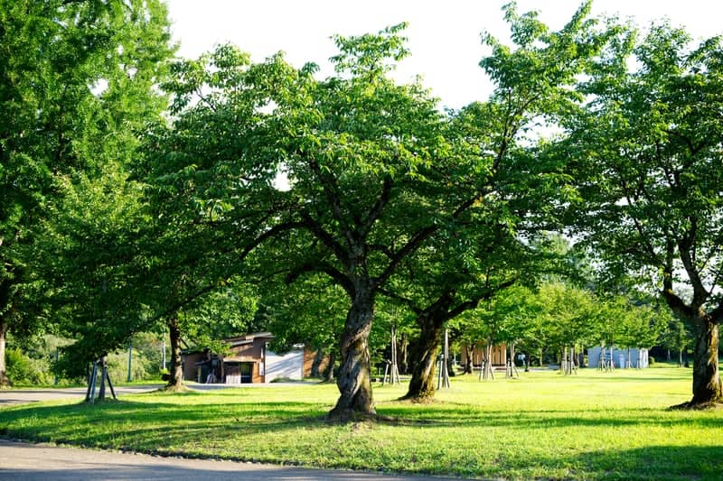 Yukyuzan Park - Image 1