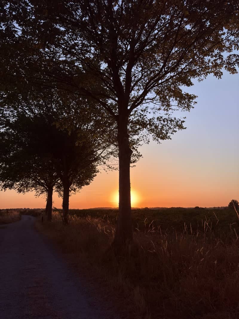 Sint Geertruid Countryside Sunset - Image 1