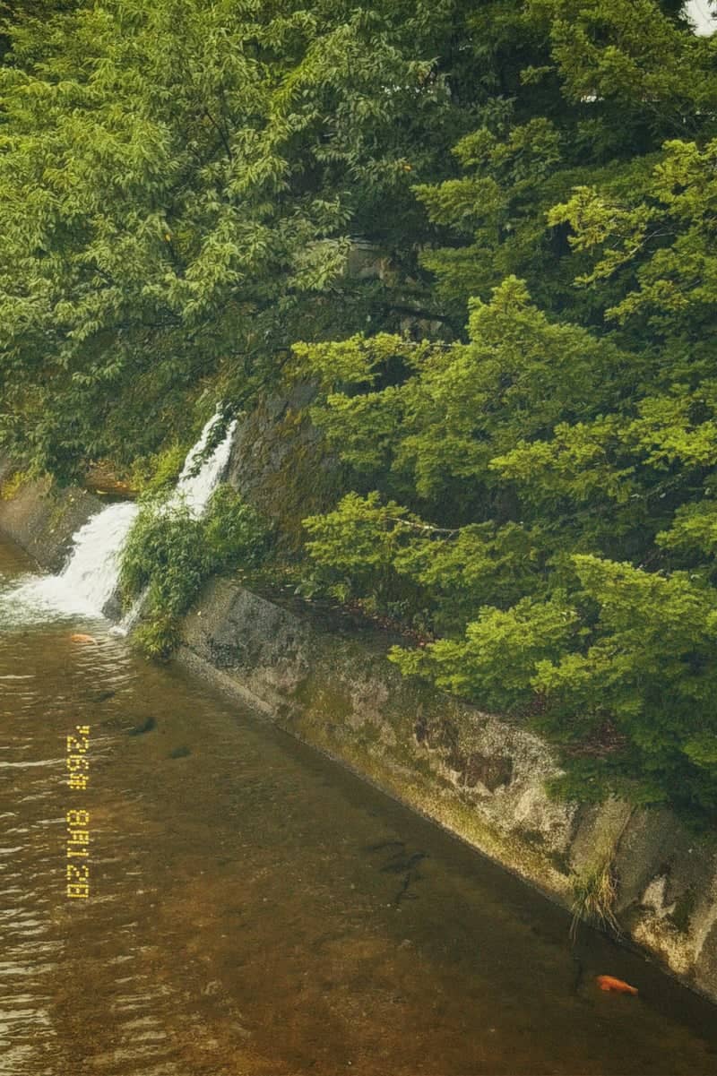 Miyagawa Riverbank - Image 1