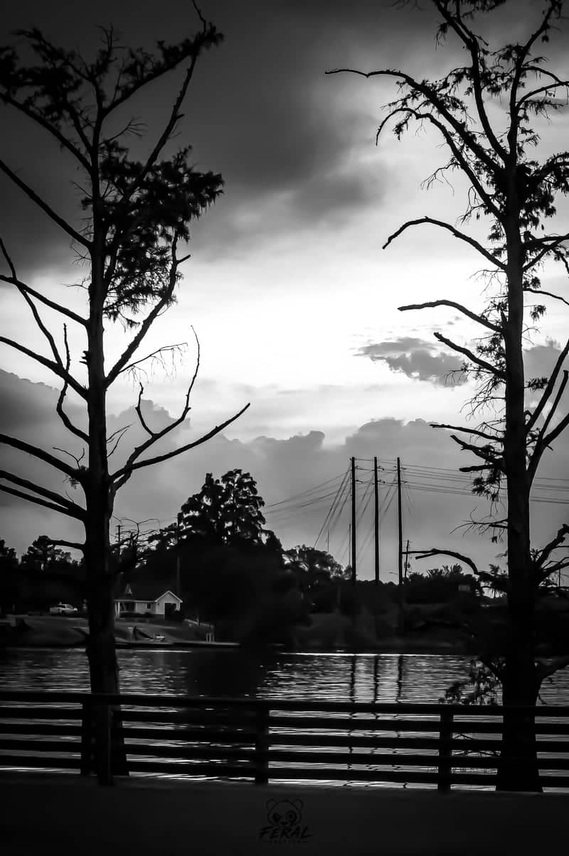 New River Waterfront at Burton Place - Image 1