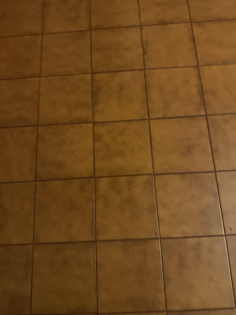 Grado Tiled Interior - Image 1
