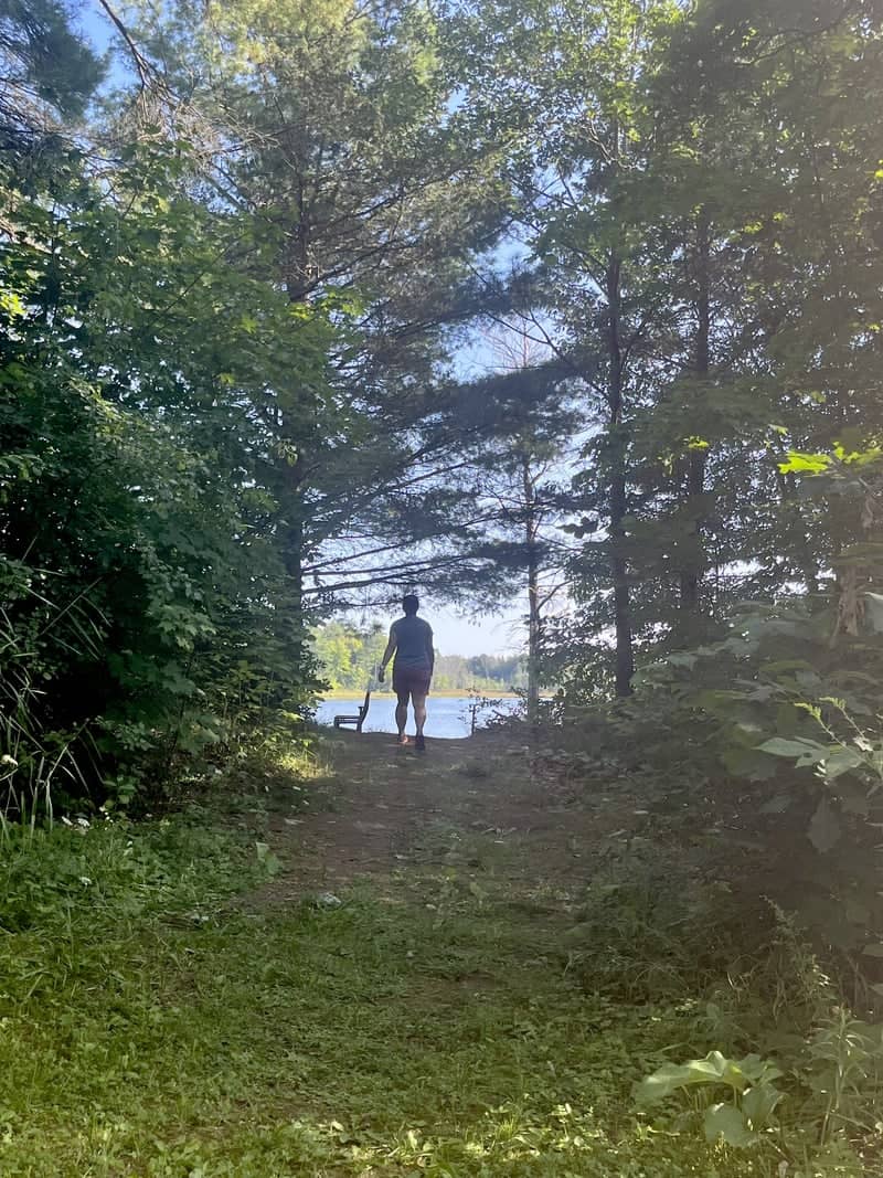 Loughborough Lake Forest Path - Image 1