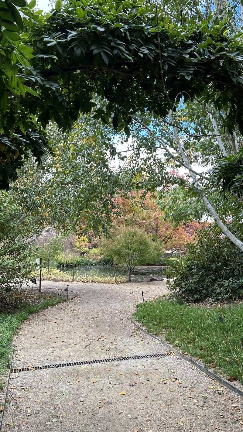 Mayfield Garden - Image 1