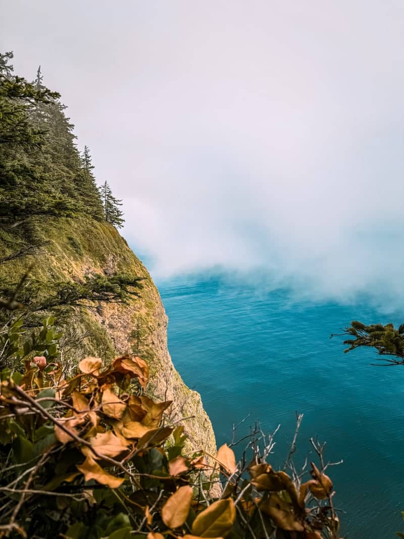 Cape Lookout State Park - Image 1