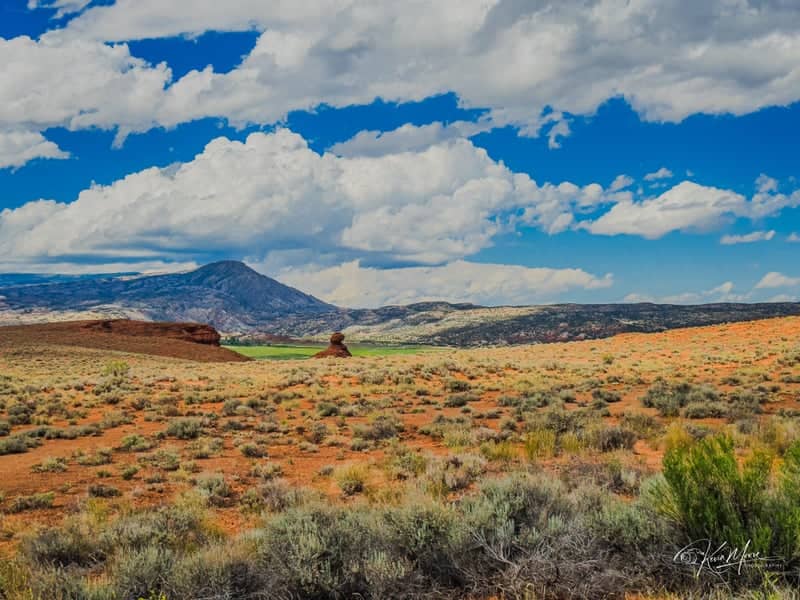 Bighorn Basin High Desert - Image 1