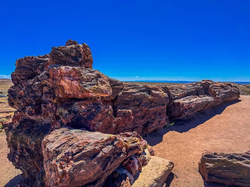 Petrified Forest National Park - Image 1