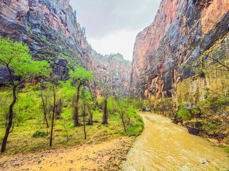 Zion Canyon - The Narrows Trailhead - Image 1