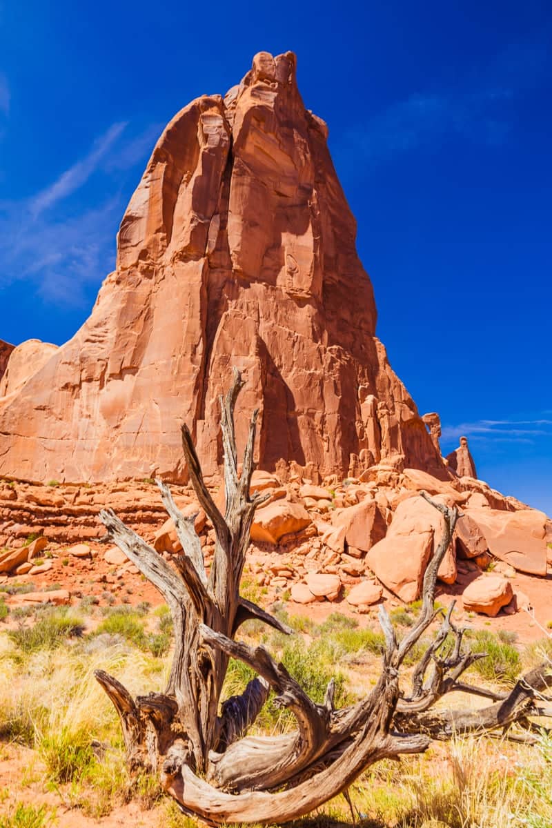 Arches National Park - Park Avenue - Image 1