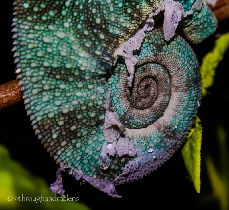 Daleville Macro Photography Spot - Image 1