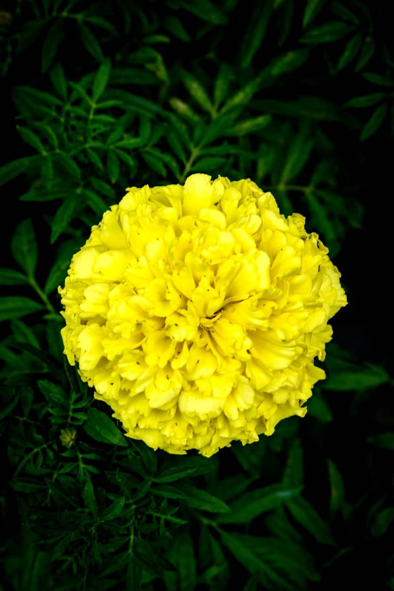 Memorial Park, Blowing Rock - Image 1