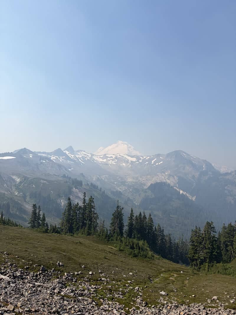 Mount Baker Vista from Ptarmigan Ridge - Image 1