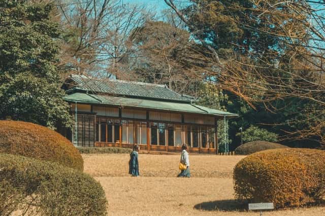 Meiji Jingu Sake Barrels