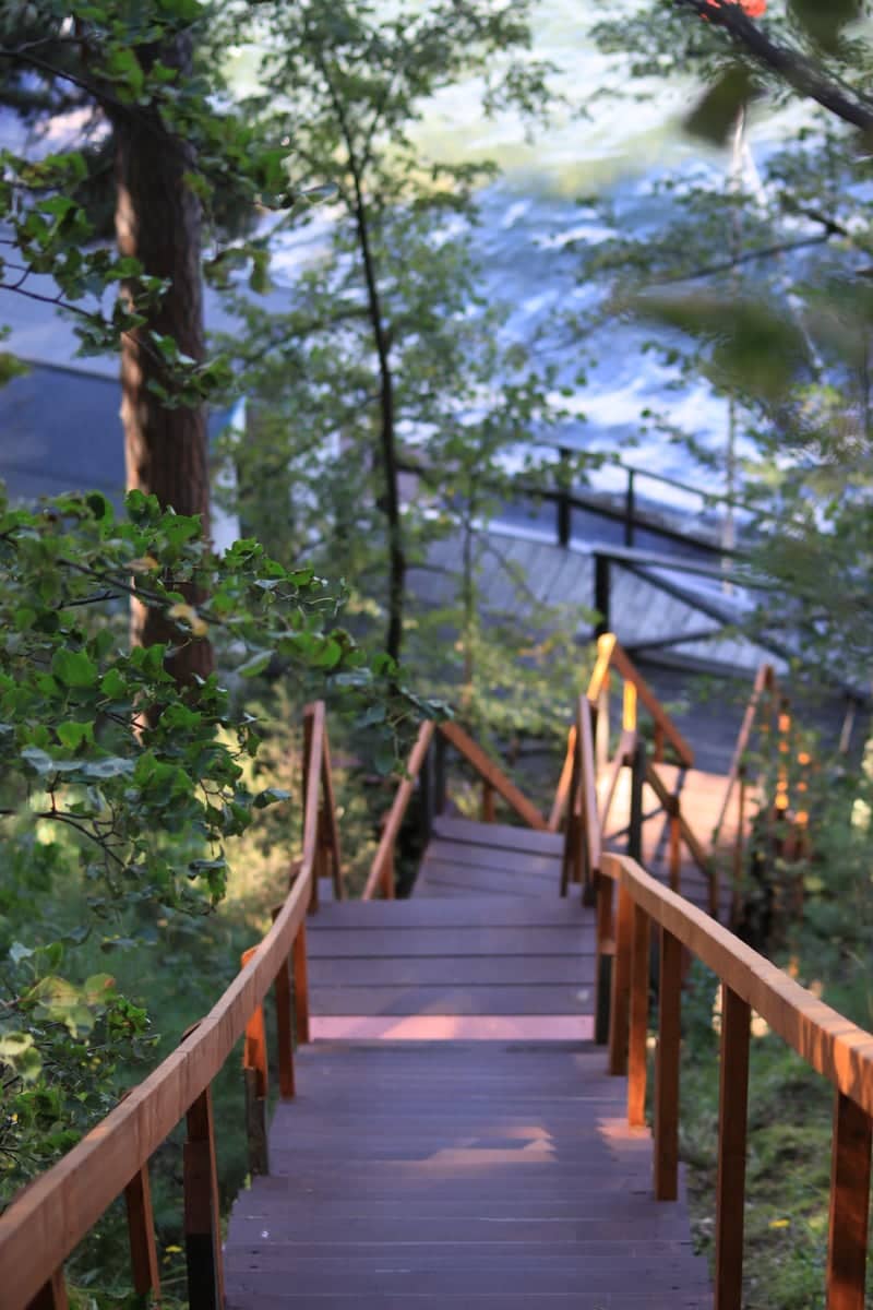 Lake Turgoyak Forest Stairs - Image 1
