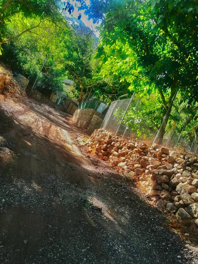 Tawella Village Path - Image 1