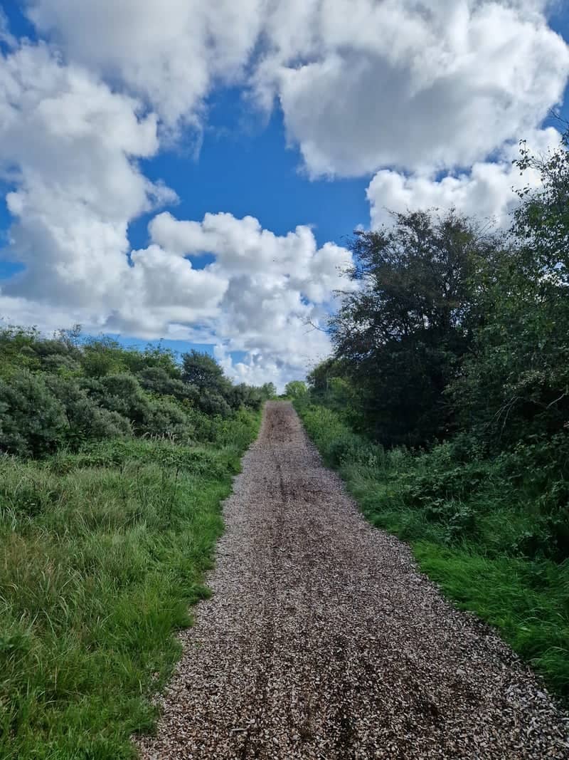 Schiermonnikoog Shell Path - Image 1