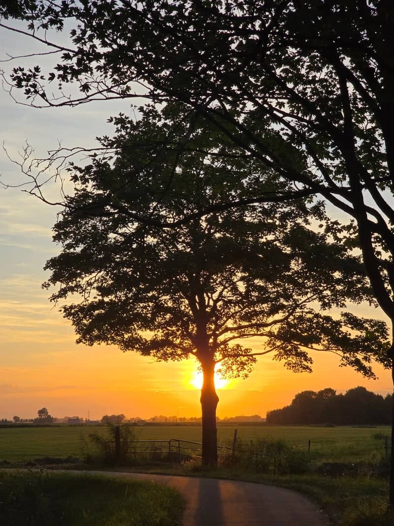 Delfzijl Rural Sunset Path - Image 1