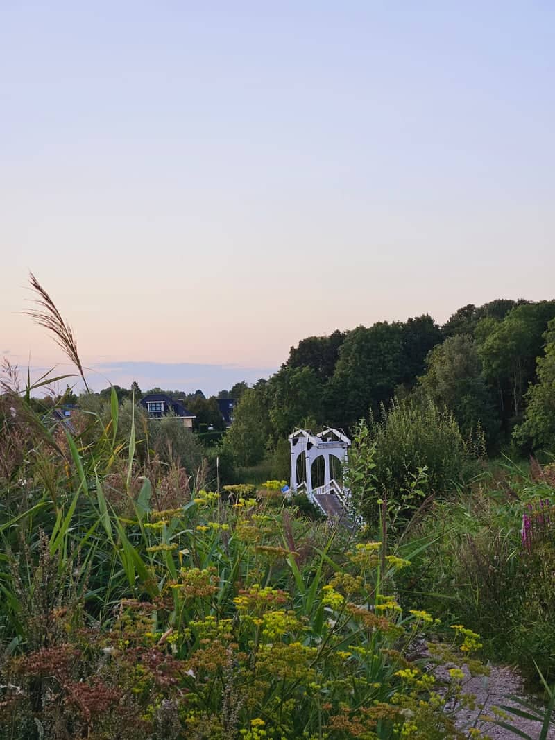 Twarrelt Pedestrian Bridge - Image 1