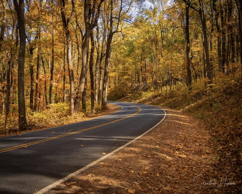 Skyline Drive, Shenandoah National Park - Image 1