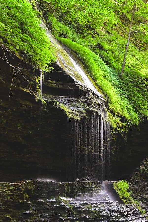 Watkins Glen State Park - Image 1