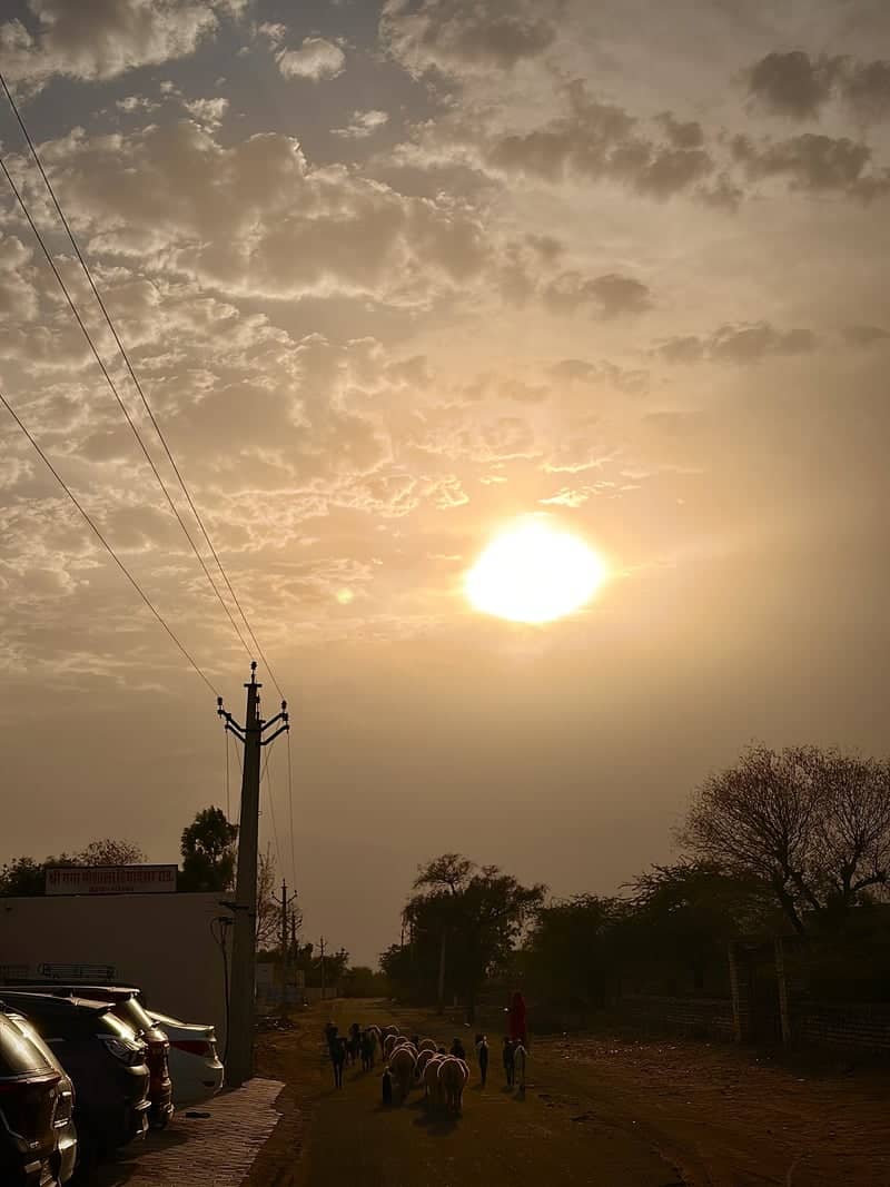 Rural Rajasthan Sunset Road - Image 1