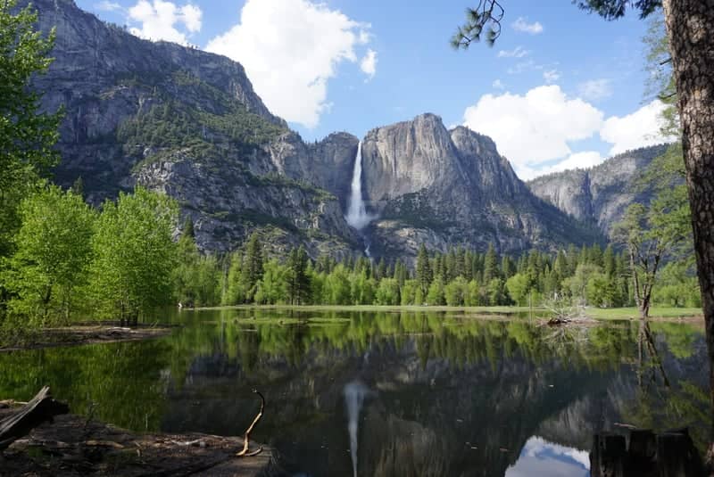 Yosemite Falls Reflection - Image 1