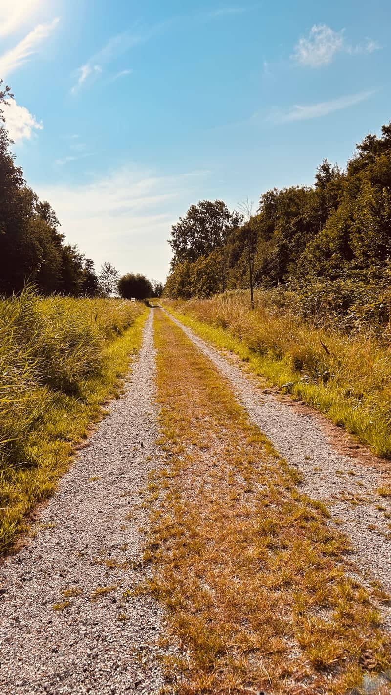 Ossenweg Countryside Path - Image 1