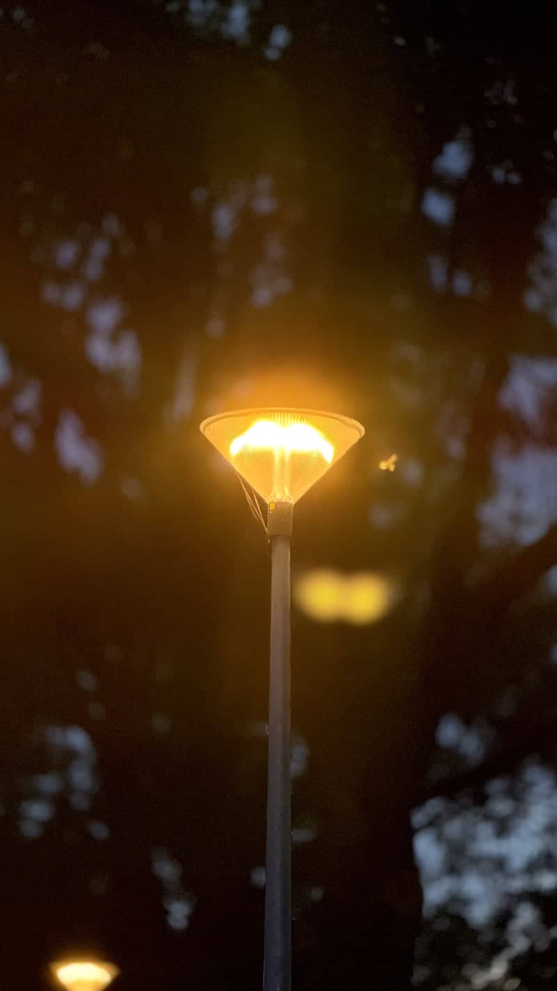 Appingedam Night Walk - Image 1