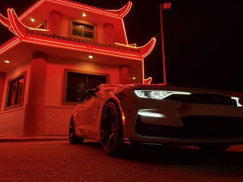 Panda Express Pagoda - Image 1