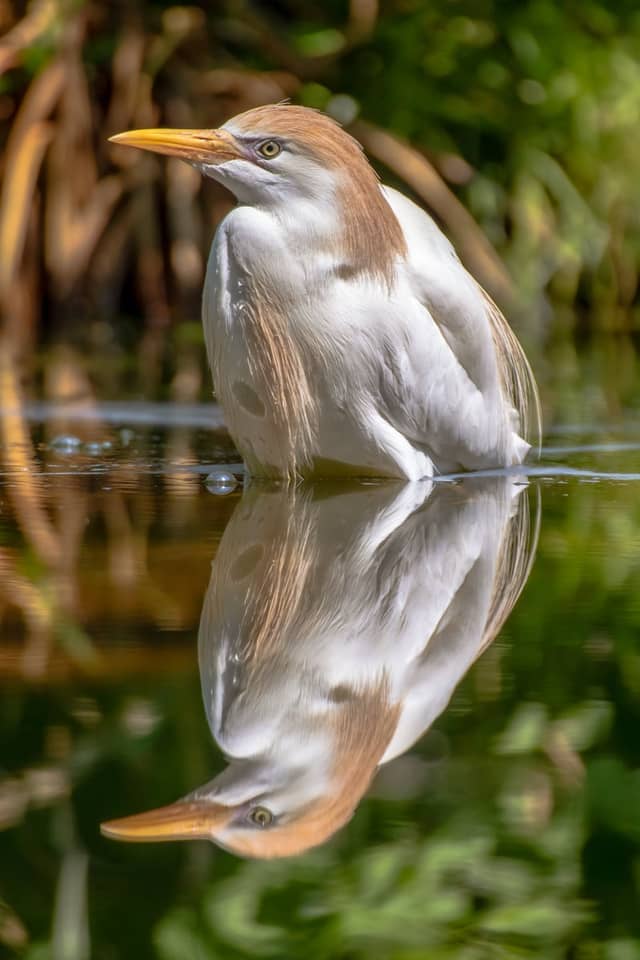 NaturZoo Rheine - Image 1