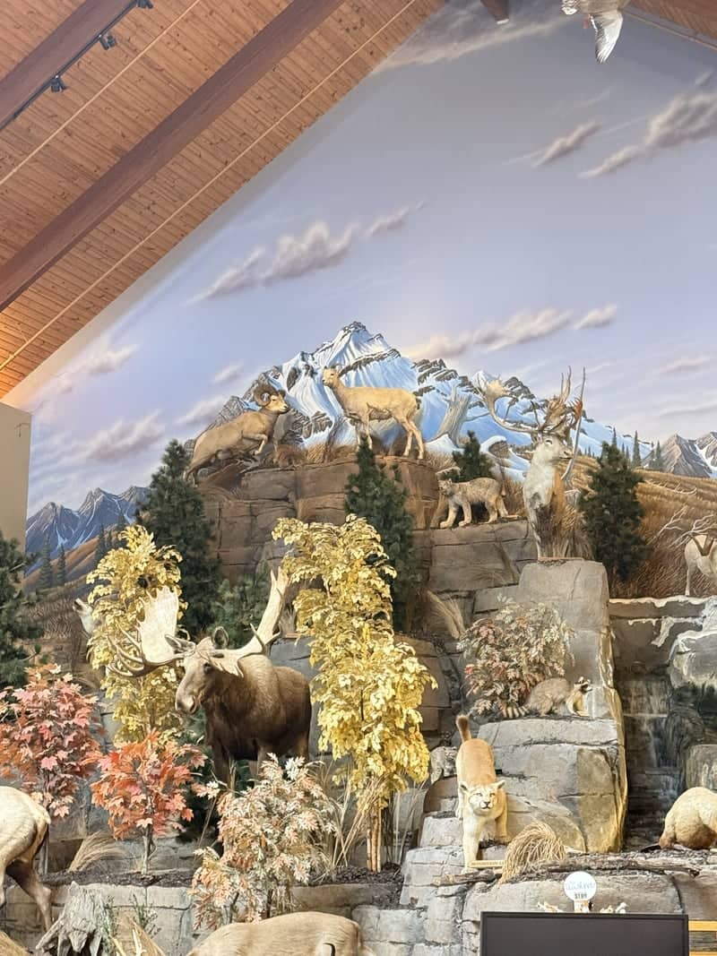 Allen County Museum Wildlife Display - Image 1