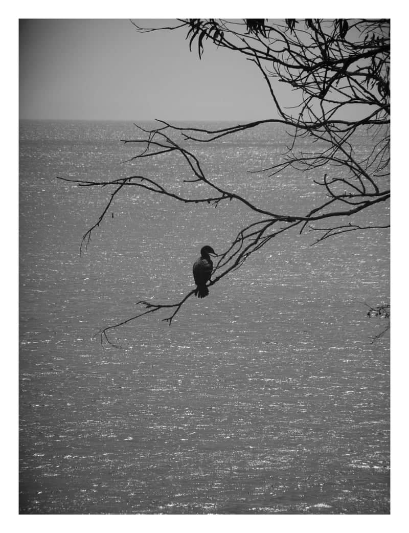Shoreline Park Overlook - Image 4