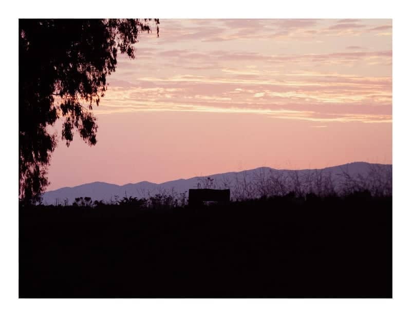 Ellwood Mesa Sunset Overlook - Image 1
