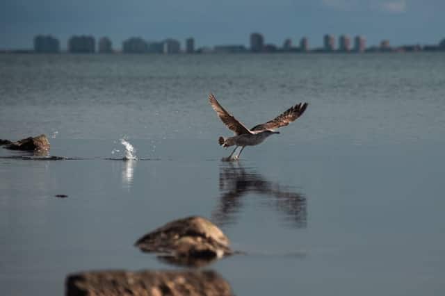 Mar Menor Shoreline at Los Alcázares