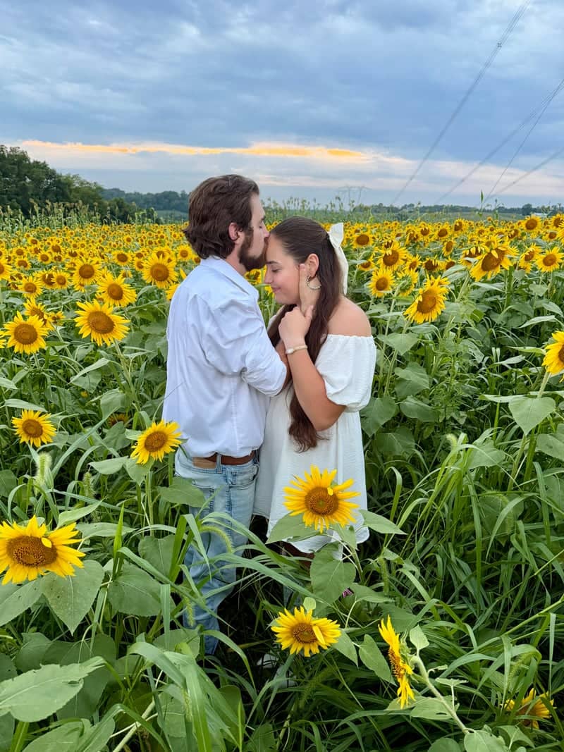 Norfield Road Sunflower Field - Image 1