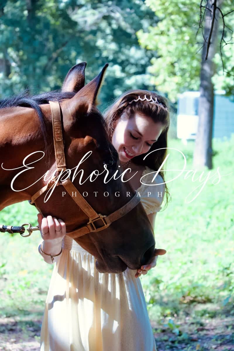 Palmetto Equestrian Woods - Image 1