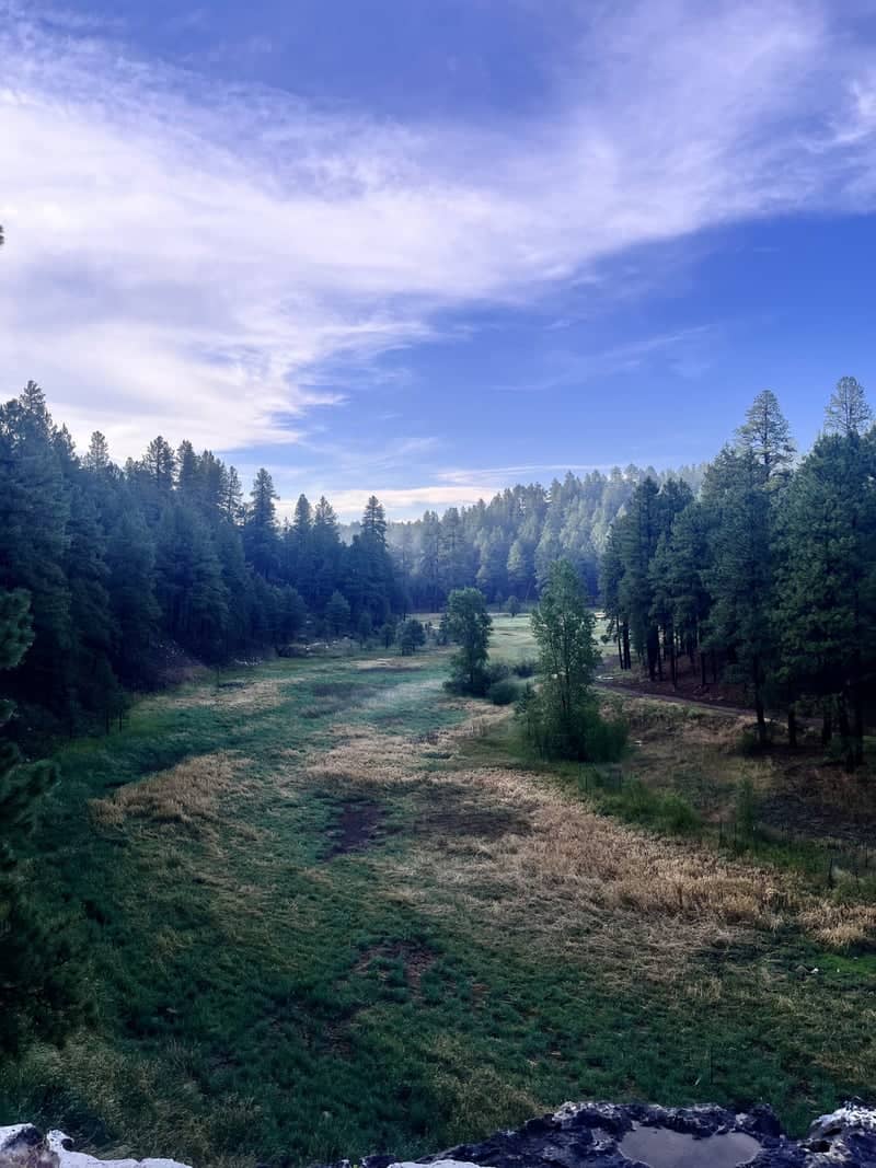 Flagstaff Pine Forest Valley - Image 1