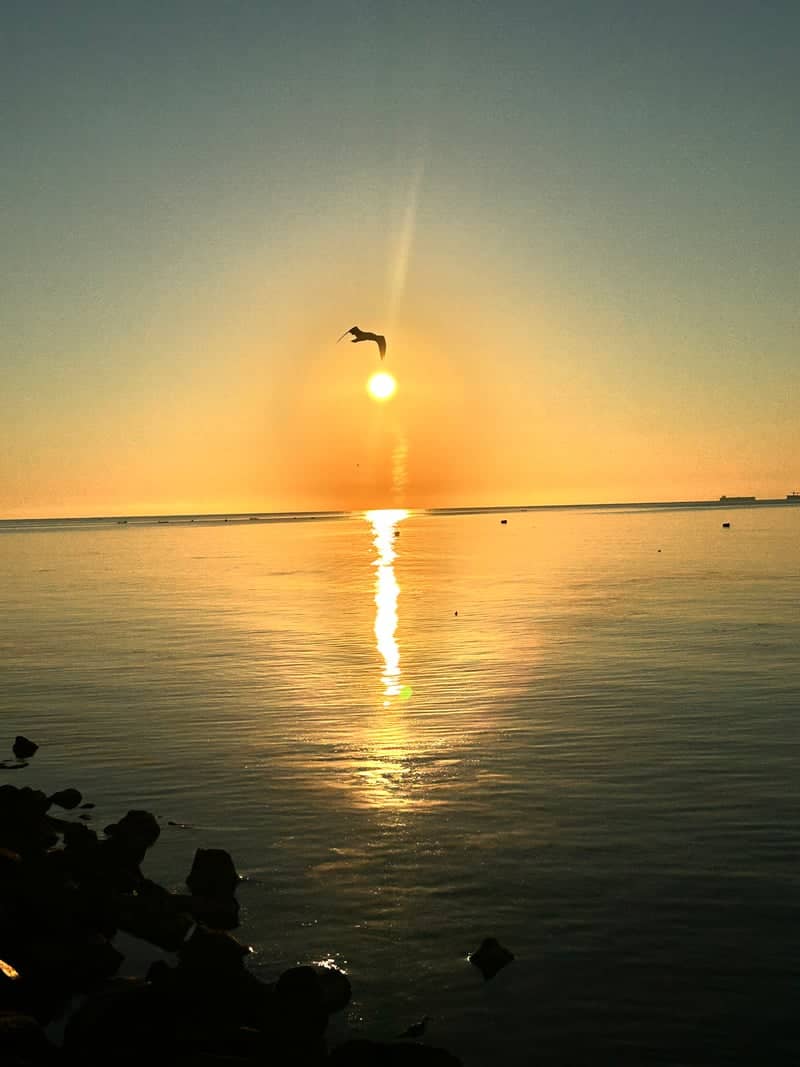 Constanța Seafront - Image 1