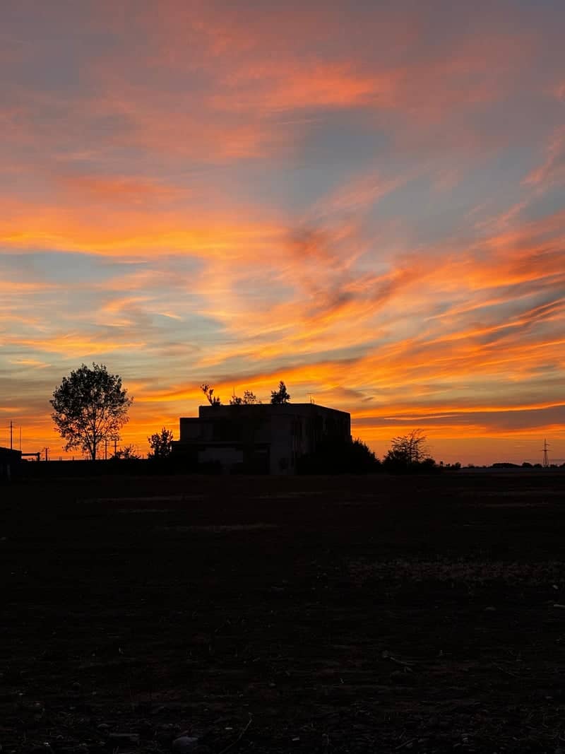 Teleorman Plains Sunset - Image 1