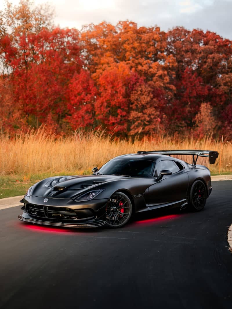 National Street Fall Foliage Drive - Image 1