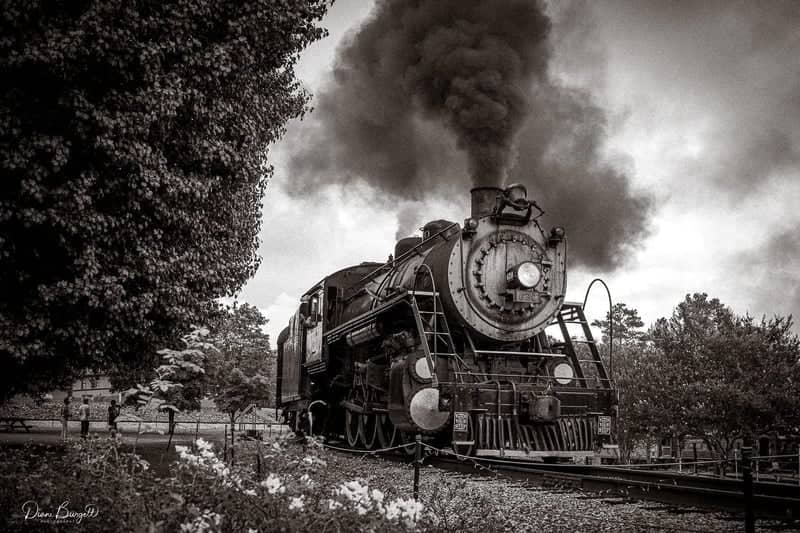 Tennessee Valley Railroad Museum - Image 1